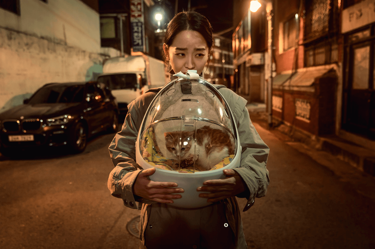 5월 개봉예정 영화