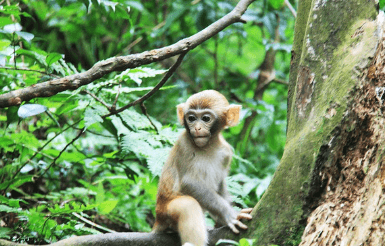 장가계 6월 날씨 정보와 옷차림 여행 팁