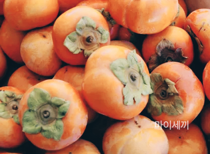 홍시 칼로리
