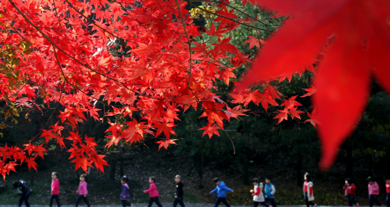 상소동 산림욕장