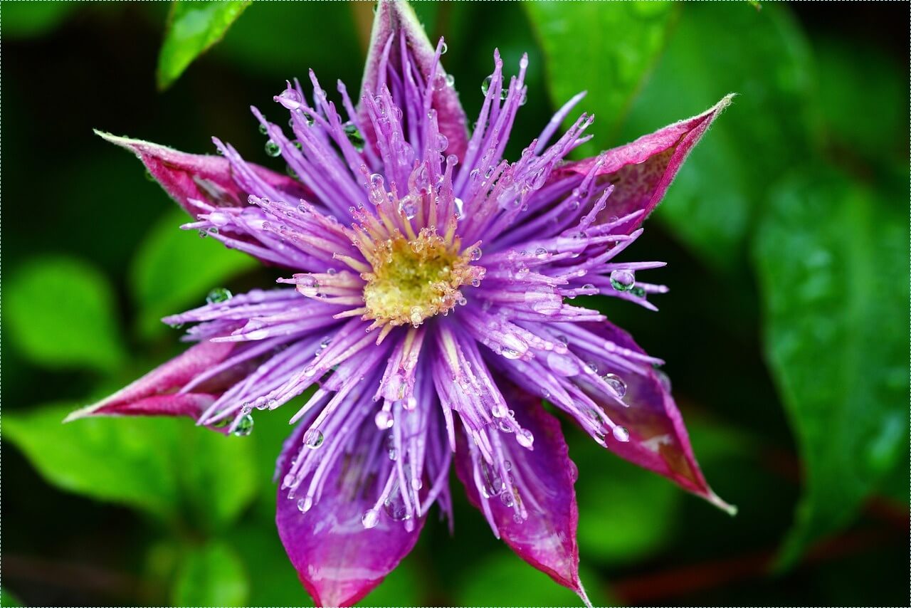 우체국 정기예금 금리