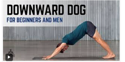 Down Dog 앱