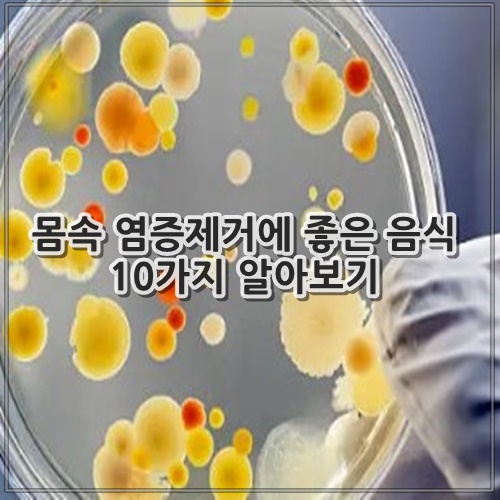 몸속 염증제거에 좋은 음식 10가지 알아보기