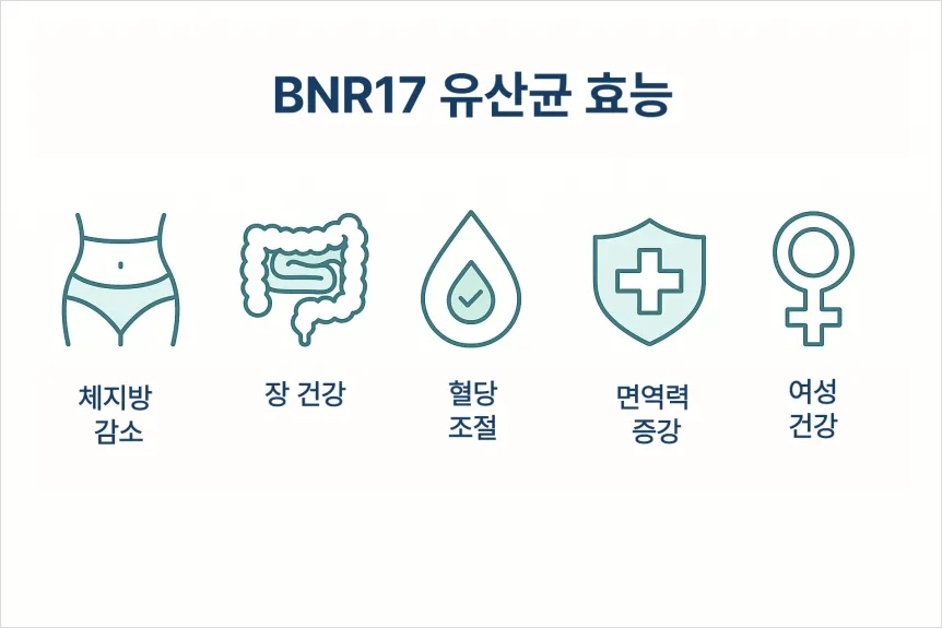 BNR17 유산균 효능