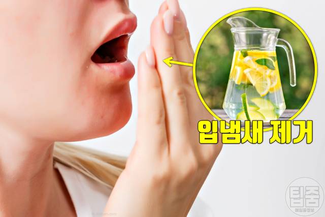 아침 공복 레몬물 효능,입냄새 제거