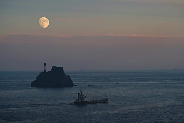 해수욕장 개장일 관련사진21