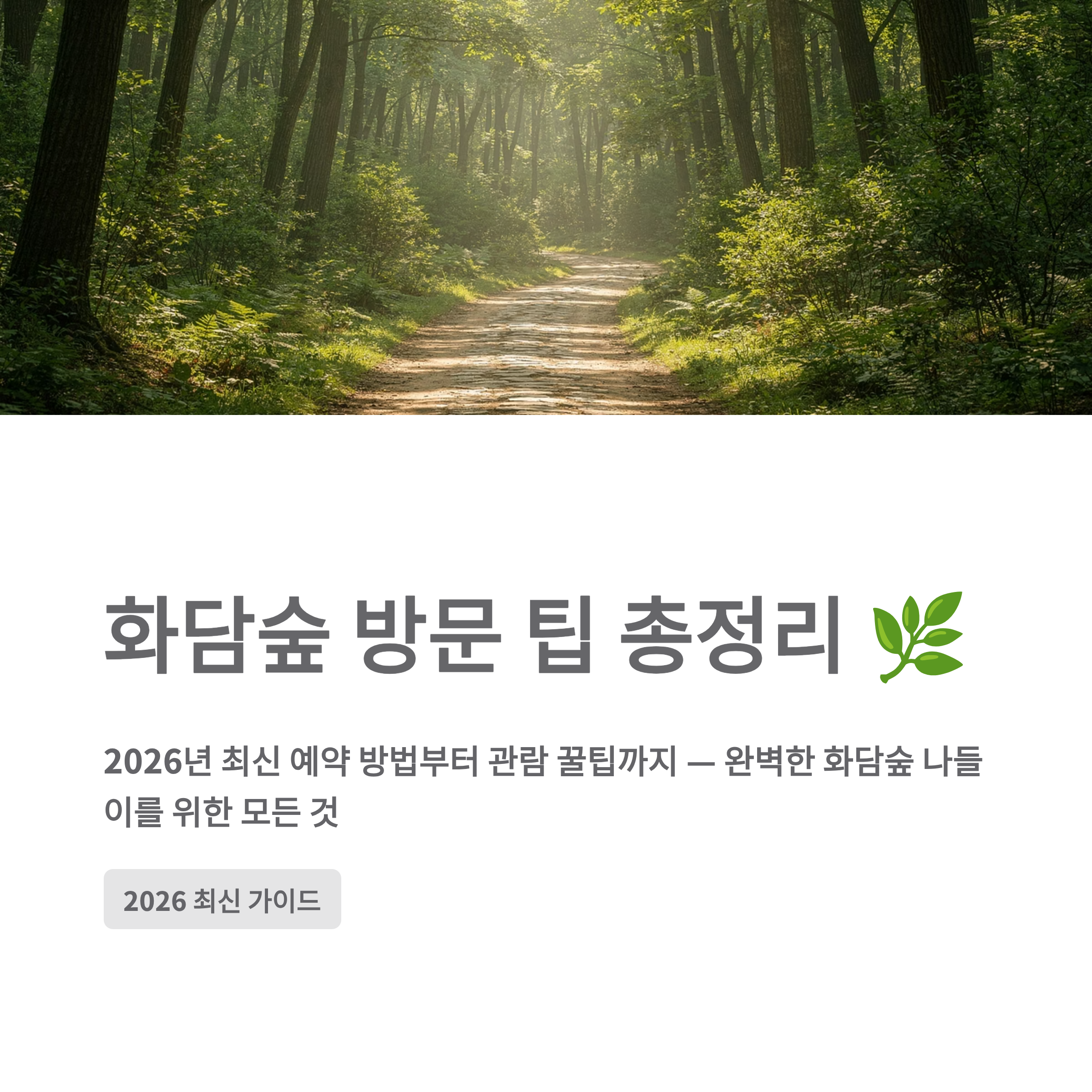 화담숲 방문 팁 총정리 🌿 2026년 최신 예약 방법부터 관람 꿀팁까지