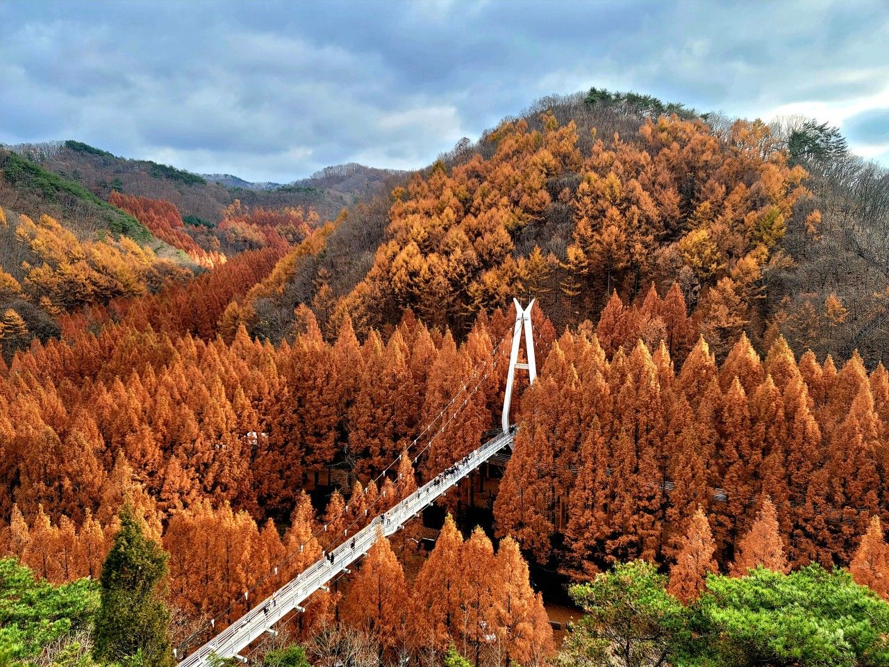 장태산 자연휴양림 예약 