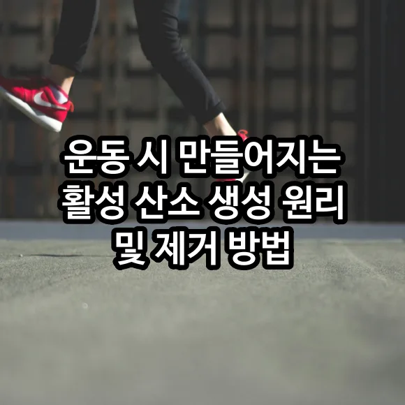 운동 중 만들어지는 활성 산소 생성 원리 및 제거 방법