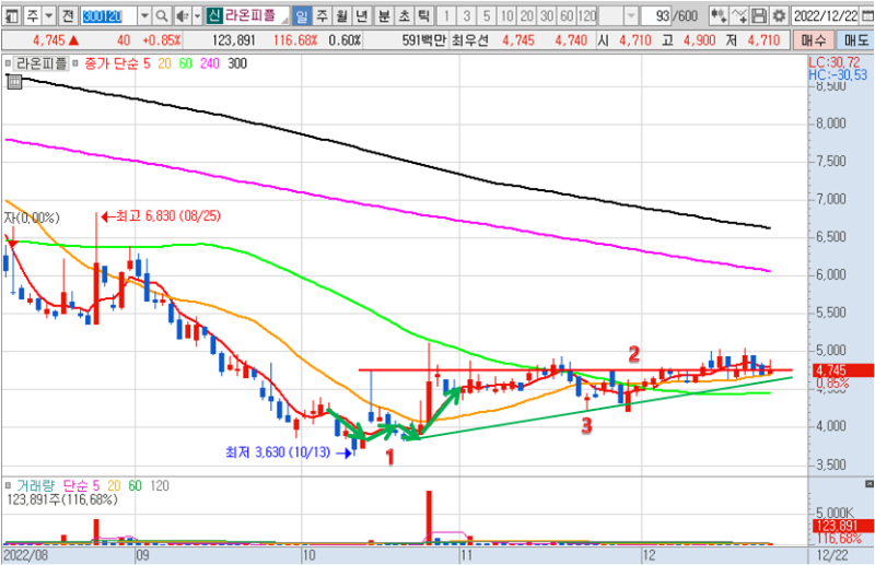 라온피플 일봉 차트