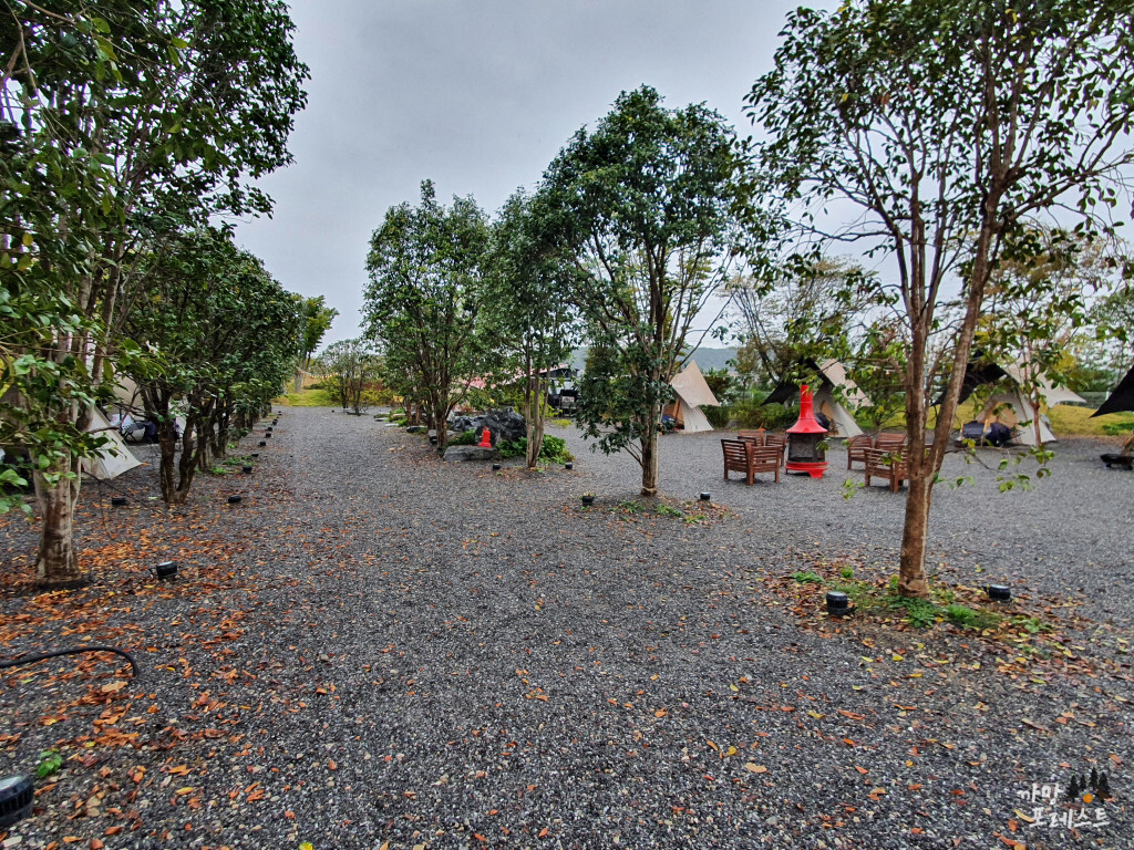 파주 뮌스터담 캠핑존