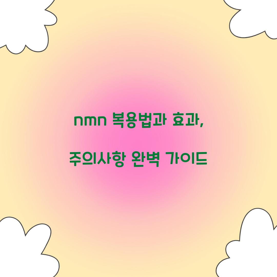 nmn 복용법