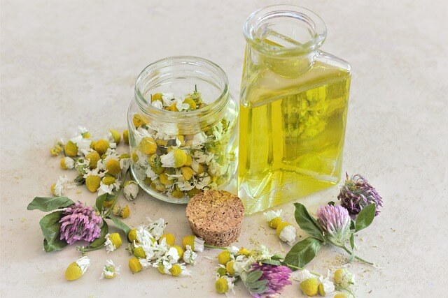 카모마일(Chamomile) 추출물의 항염 및 보습 효과