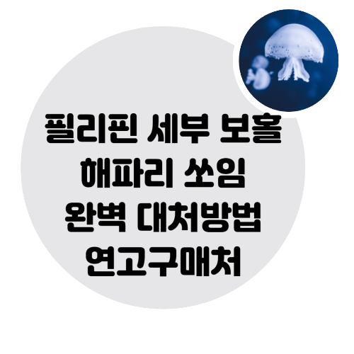 필리핀-세부-해파리-쏘임-대처