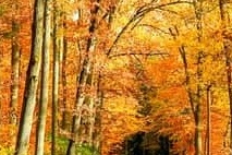 소상공인 50만원 크레딧 지원금! 신청방법 총정리