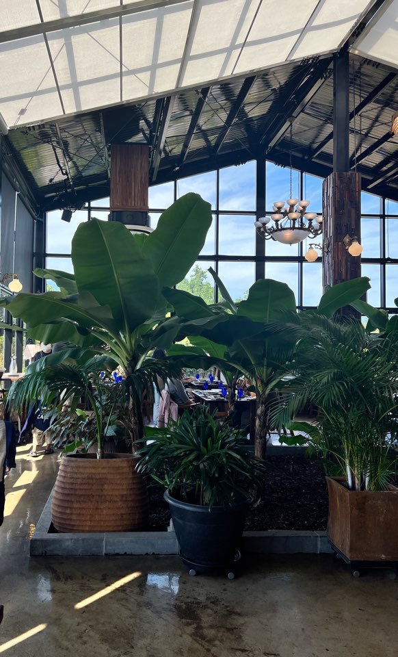 제주도 맛집 여행코스 베이커리 카페 제주 동부 숙소에서 거리까지 제주도 일정 짜기 제주도 10월 날씨 제주도 인생사진 명소 제주 애월 조천 협재 함덕 맛집 제주도 렌터카 제주도 렌트카 제주 렌터카 제주 렌터카