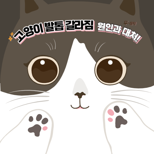 고양이발톱갈라짐