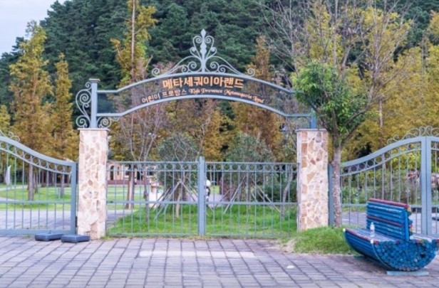 아이들과 아이랑 함께 담양 가볼만한곳 베스트10 메타세쿼이아랜드 어린이프로방스