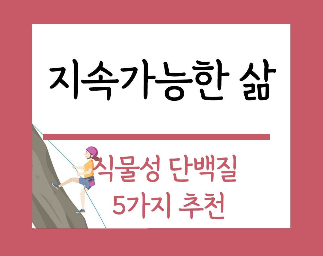 플렉시테리언을 위한 식물성 단백질 식품 5가지 블로그