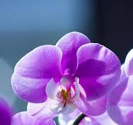 난나라 직거래 장터