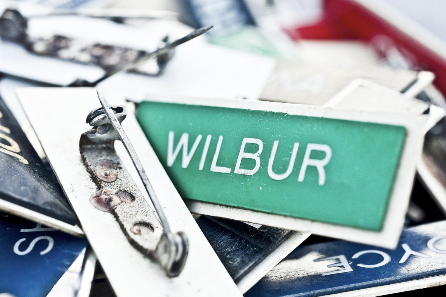 이름 없는 세상, 사람들은 점점 서로를 잊기 시작했다