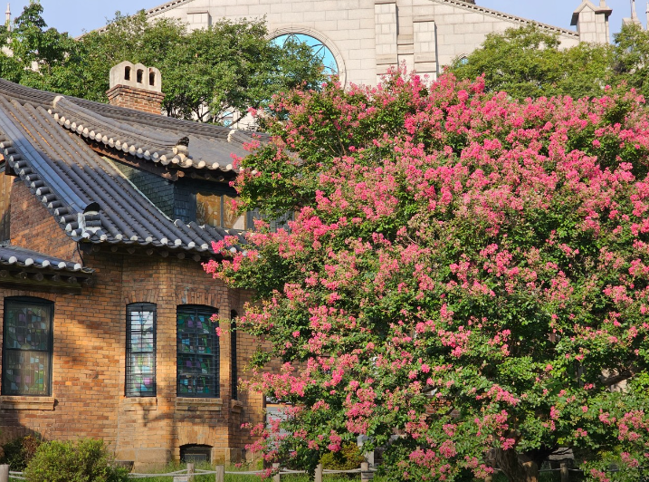 대구근대화거리3