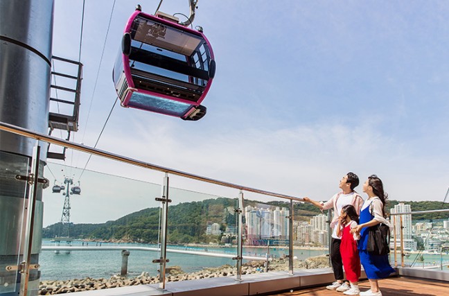 송도케이블카할인