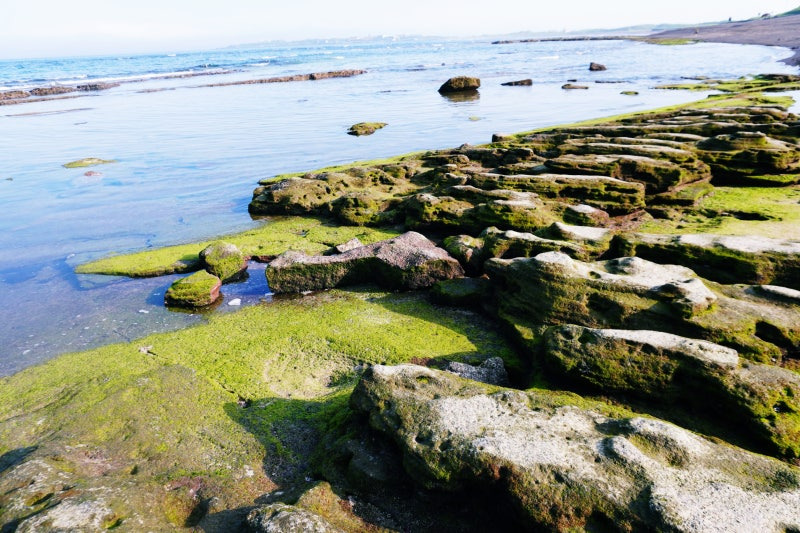 관련 여행지 사진이미지