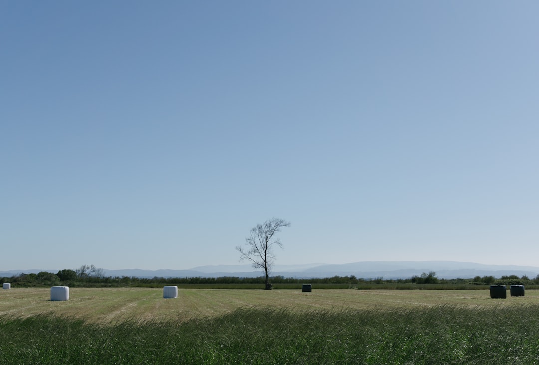 농지 (Farmland)
