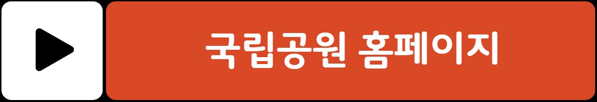 내장산 단풍 절정시기