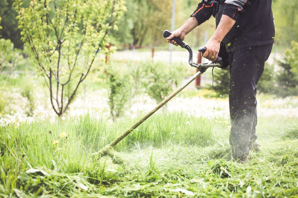 신증후군출혈열 단계별 증상