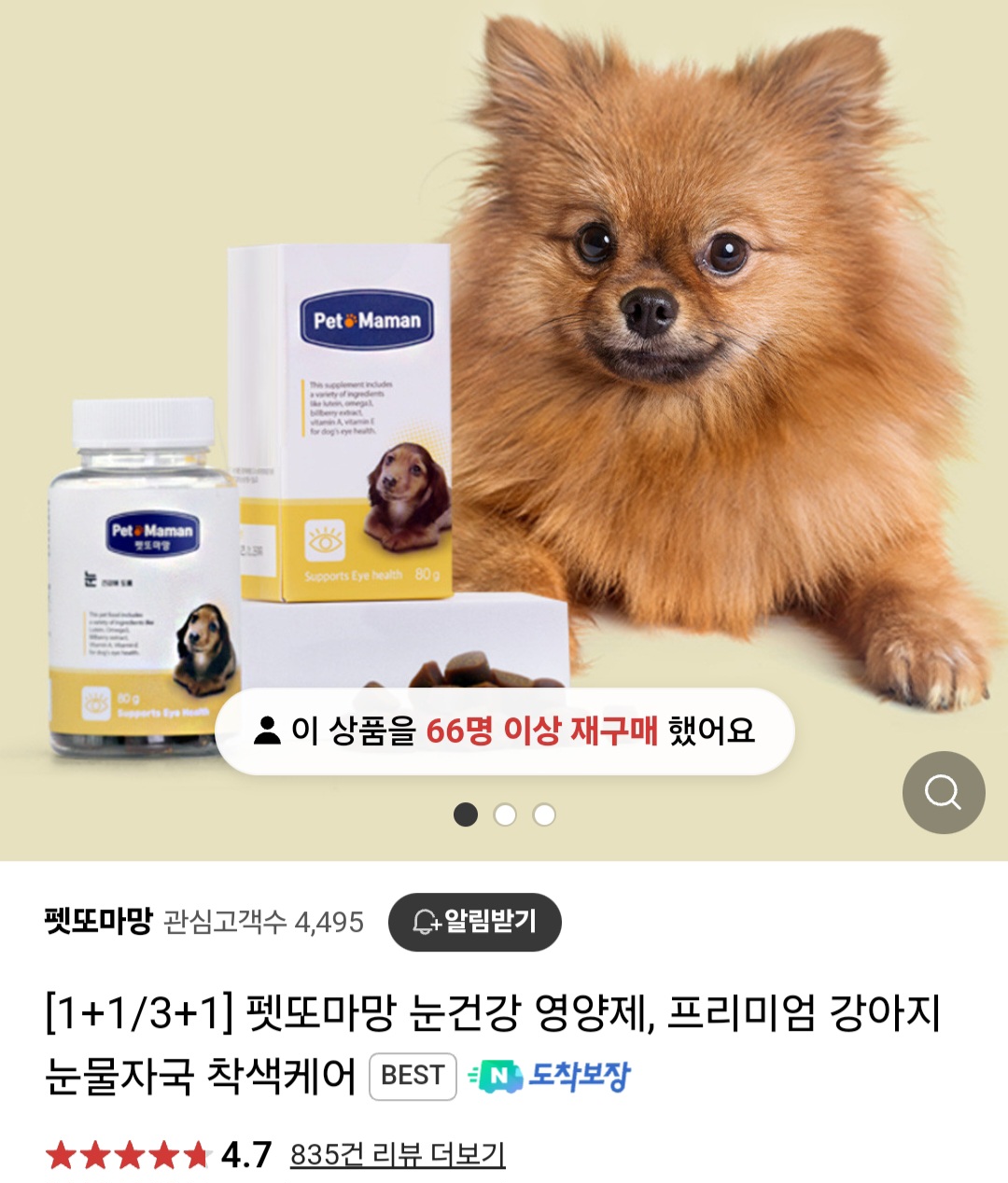 강아지 눈물자국 고민해결