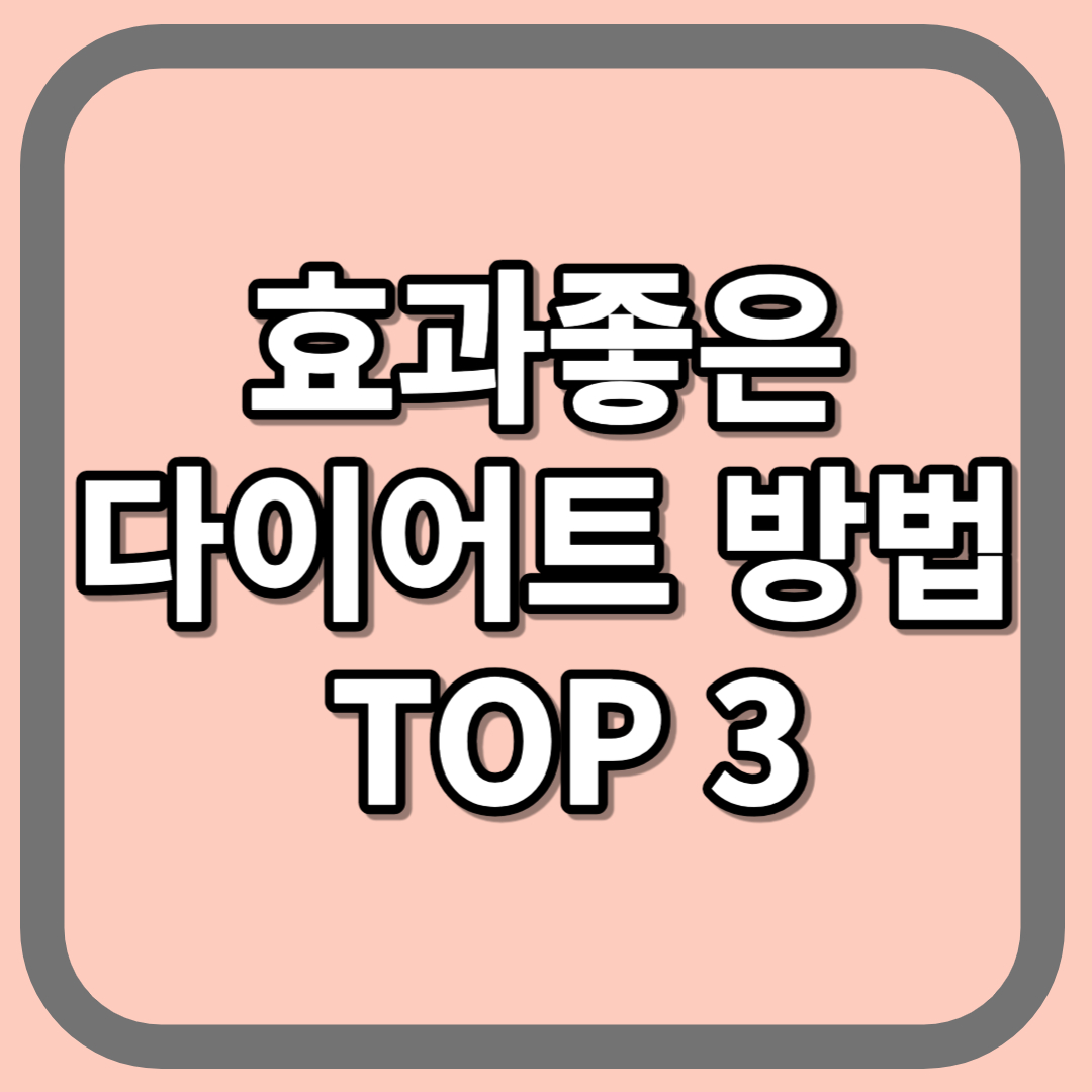 효과좋은 다이어트