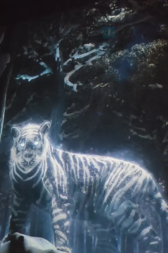 강릉-아르떼뮤지엄-포레스트