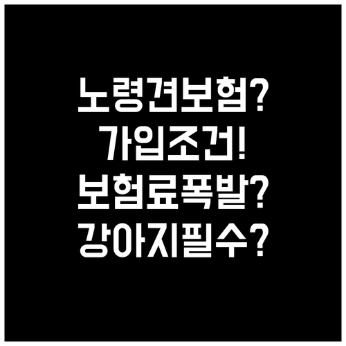 노령견 강아지 보험 가입 조건과 보험..