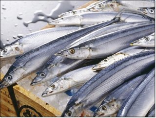 콜레스테롤 낮추는 음식