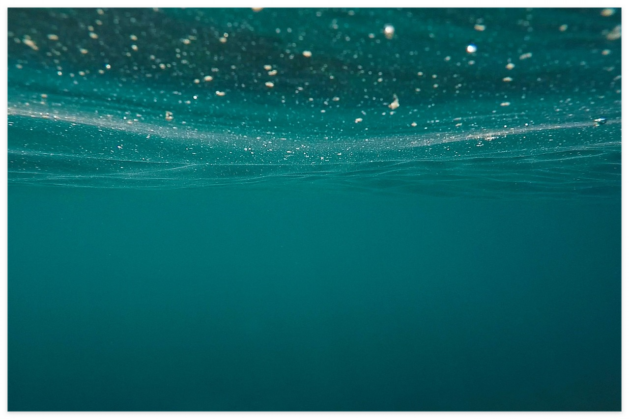 반려동물 유골 보관