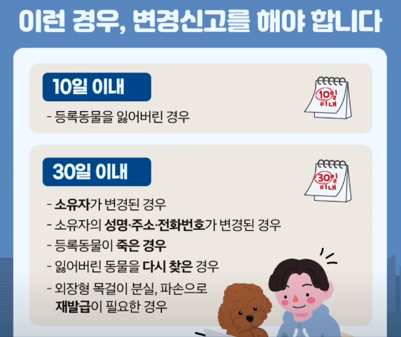 재발급이 필요한 경우