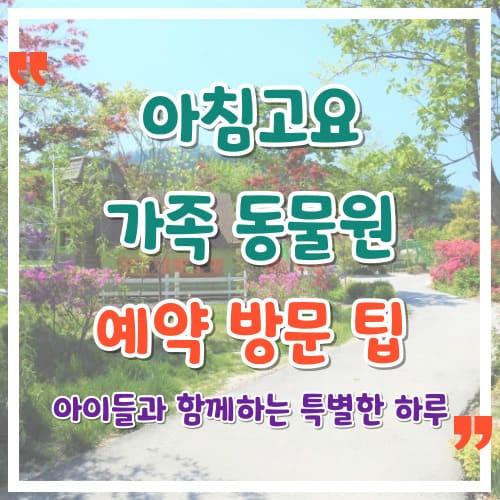 아침고요가족동물원 예약 방문 팁 아이들과 함께하는 특별한 하루