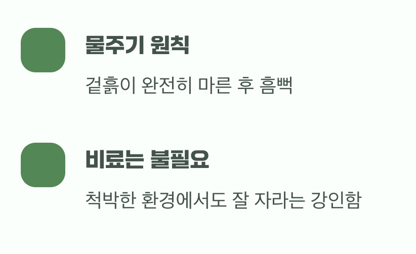 오히려 '덜' 돌보는 기술