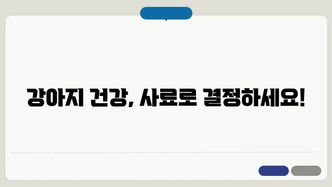 강아지 음상을 지키는 사료 추천, 원료 비교 및 선택법 완벽 가이드