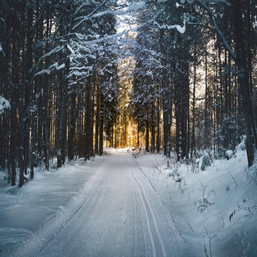 2025년 블랙아이스 대처법&amp;#44; 사고 방지