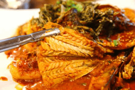 생방송 투데이 코다리찜 문어코다리찜 경기 용인