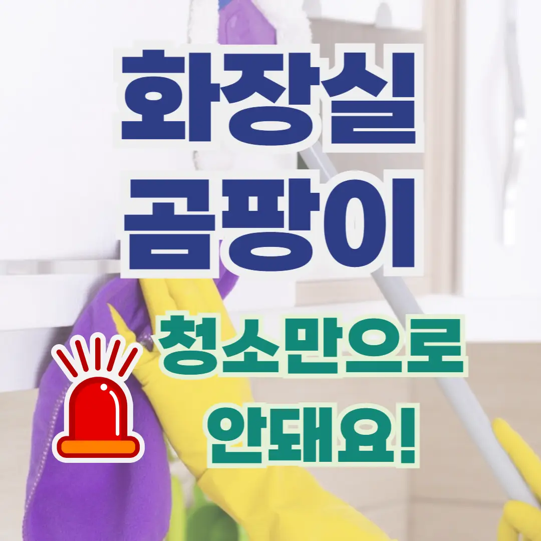 화장실 곰팡이 청소방법