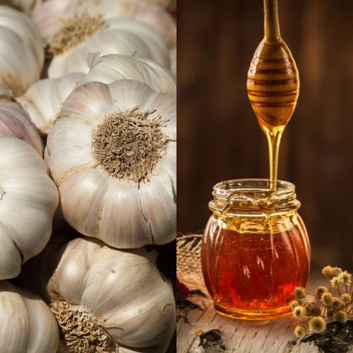 마늘과 꿀의 조합, 효능이 배가 되는 이유