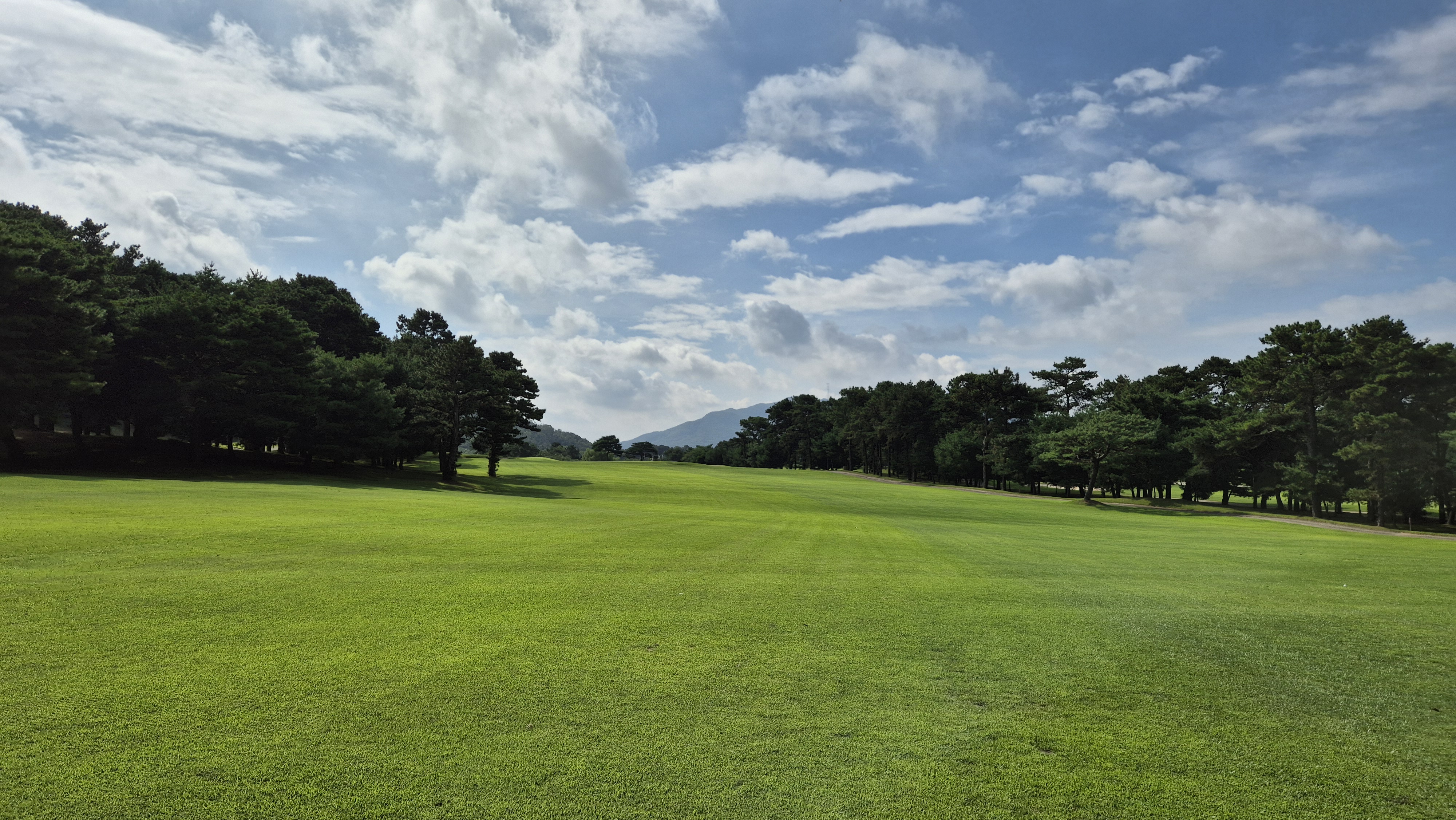 도고cc 코스 사진 및 공략 정보