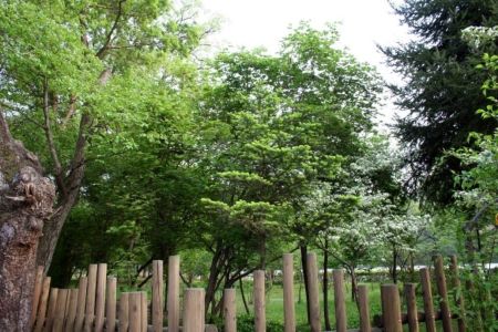 국립수목원 사진