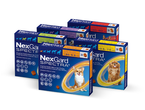 넥스가드&middot;하트가드&middot;프론트라인 비교