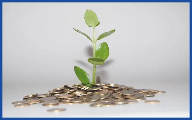 파이코인 시세와 전망