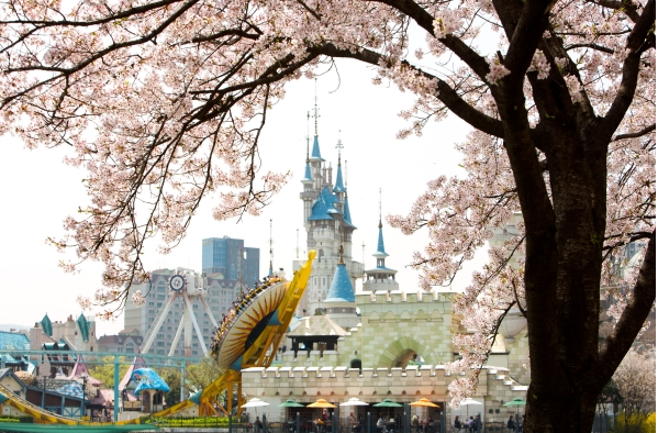 석촌호수 벚꽃축제